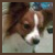 :iconkabookie: