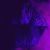 :iconkachina-nur: