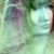:iconkackaa: