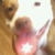 :iconkacodemon: