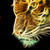 :iconkade-art: