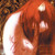 :iconkaede-lucy: