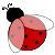:iconkaefer: