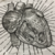 :iconkagami-hy: