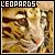 :iconkage-kura: