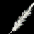:iconkagey-chan: