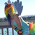 :iconkagome1200: