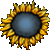 :iconkahahuna: