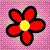 :iconkahena: