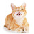 :iconkahlynussery: