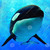 :iconkai-fan483: