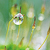 :iconkai-fisher: