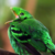 :iconkai-suke: