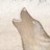 :iconkaialee-fuhtehwah: