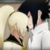 :iconkaido90: