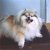 :iconkaidsphotos:
