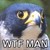 :iconkaijuking623: