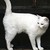 :iconkaiko-chan8076: