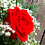 :iconkailue: