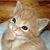 :iconkaimirah: