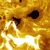 :iconkain-silverfang: