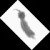 :iconkaincrow: