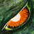 :iconkainzilla: