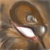 :iconkairakaira-okami: