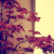 :iconkairi-chanx3:
