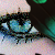 :iconkaishah: