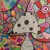 :iconkaitlynearth11: