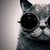 :iconkaitouspinner: