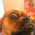 :iconkaiune: