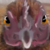 :iconkaiurem: