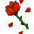 :iconkaiya204: