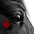 :iconkajak-for-fun: