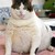 :iconkakacarrotcake: