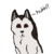 :iconkakashi128: