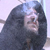 :iconkakashilol: