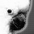 :iconkaketoe: