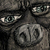 :iconkakhtus: