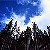 :iconkakon557: