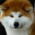 :iconkaku666: