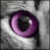 :iconkaledrina: