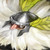 :iconkaleidoscope09: