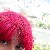 :iconkaleidoscopeyed: