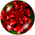 :iconkaleidoscopica: