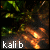 :iconkalibie: