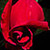 kalibrahim :iconkalibrahim: