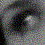 :iconKalika1786: